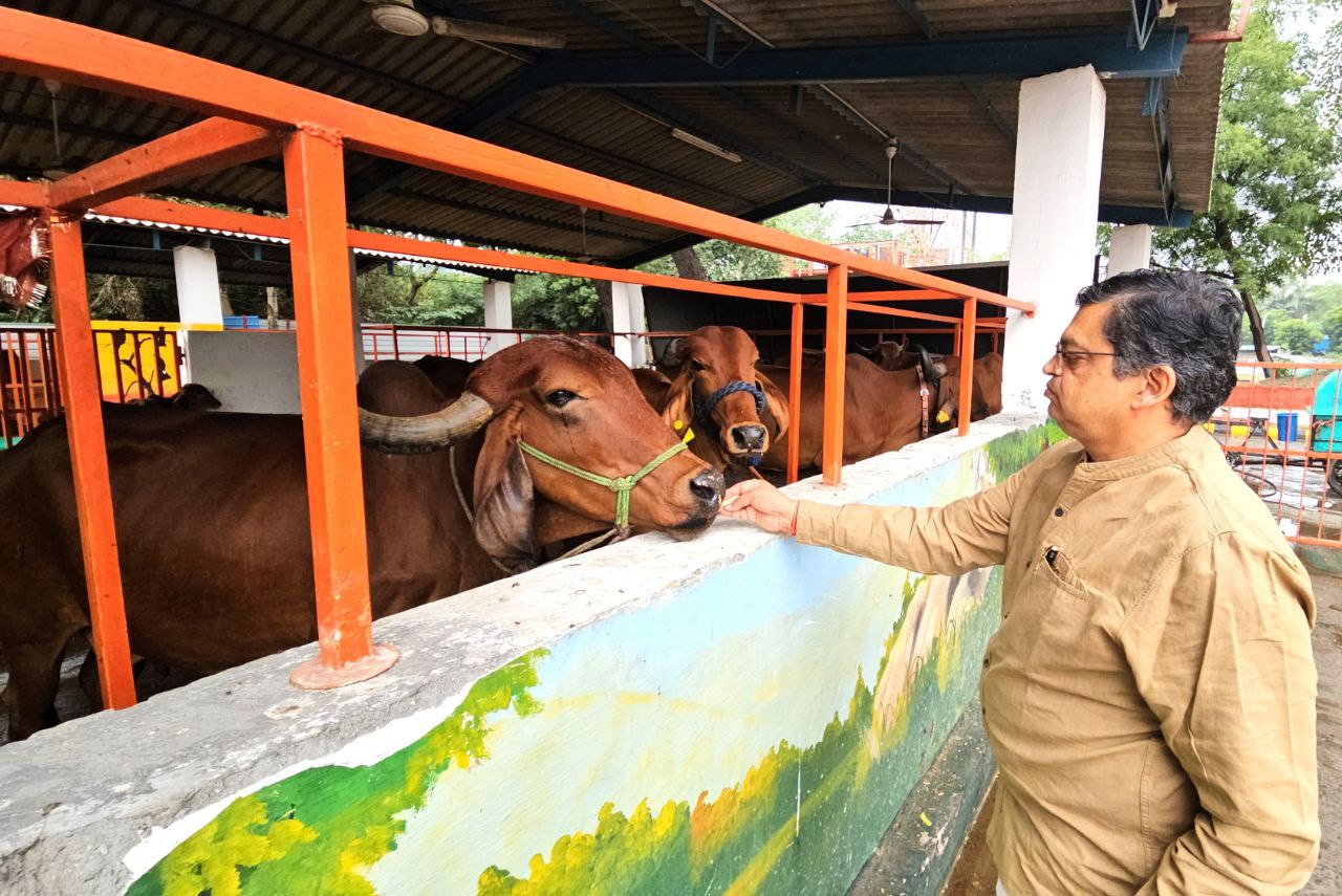 श्री जी गौसदन, नोएडा